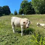 Casa vacanze La Clé Des Champs Acheux-en-Vimeu