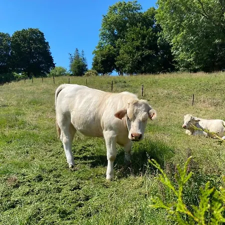 Nyaraló La Cle Des Champs Acheux-en-Vimeu