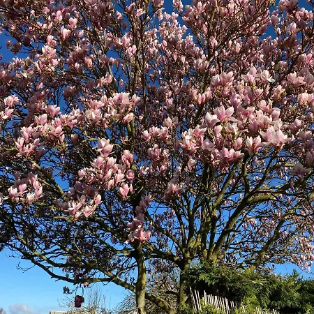 La Cle Des Champs Holiday home Acheux-en-Vimeu