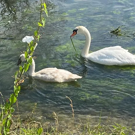 La Cle Des Champs